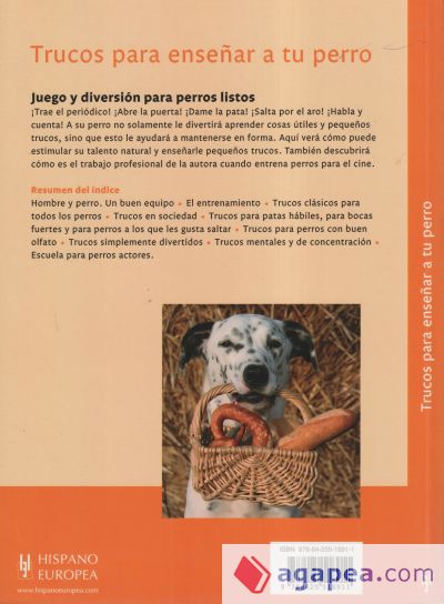 Trucos Para Ense Ar A Tu Perro Angela Wegmann