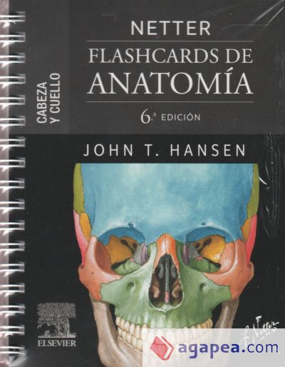 NETTER FLASHCARDS DE ANATOMIA CABEZA Y CUELLO JOHN T HANSEN