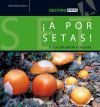 &iexcl;A por setas!, Busca, encuentra y degusta