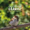 &iquest;Cu&aacute;l es el ave m&aacute;s grande?