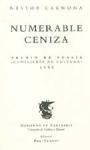  Numerable ceniza