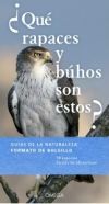 ¿QUE RAPACES Y BÚHOS SON ESTOS?