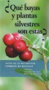 ¿QUÉ BAYAS Y PLANTAS SILVESTRES SON ESTAS?