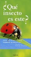 ¿QUÉ INSECTO ES ESTE?