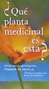 ¿QUÉ PLANTA MEDICINAL ES ESTA?