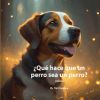 ?Qu&eacute; hace&iquest; qu&eacute; un perro sea un perro?: Para ni&ntilde;os