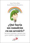 &iquest;Qu&eacute; har&iacute;a un camale&oacute;n en un arco&iacute;ris?