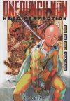 0ne Punch Man : Hero Perfection