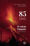 85 d&iacute;as. El volc&aacute;n Tajogaite