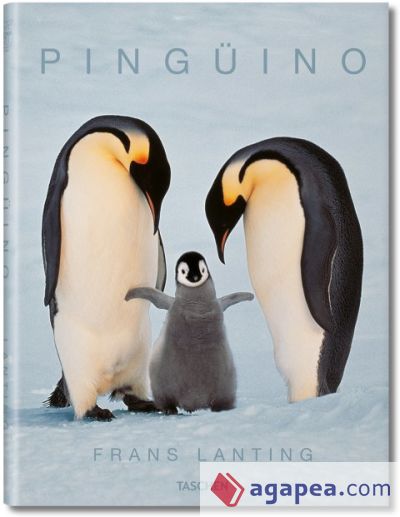 Frans Lanting. Pingüino