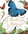 A Butterfly Is Patient