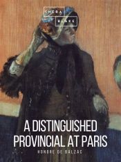 Portada de A Distinguished Provincial at Paris (Ebook)