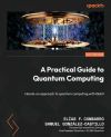 A Practical Guide to Quantum Computing