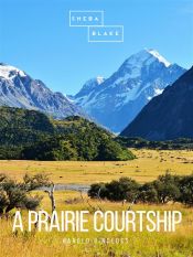 A Prairie Courtship (Ebook)