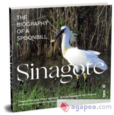 SINAGOTE - INGLES SINAGOTE - INGLES