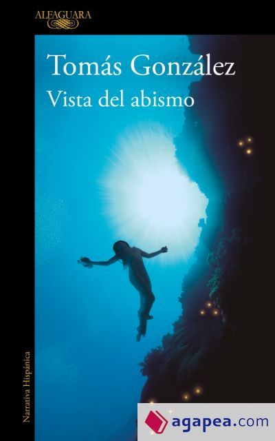 Vista del abismo Vista del abismo