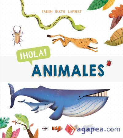 ¡Hola! Animales