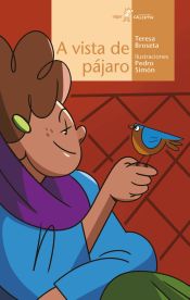 Portada de A vista de pájaro