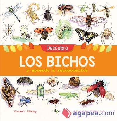 Descubro los bichos y aprendo a reconocerlos