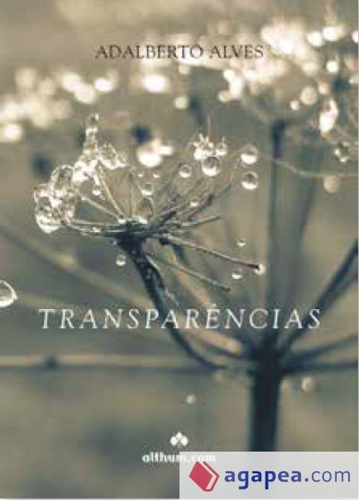 TRANSPARENCIAS