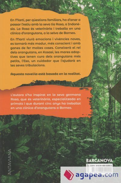 Un estiu a Borneo Un estiu a Borneo