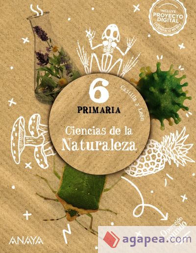 Ciencias de la Naturaleza 6