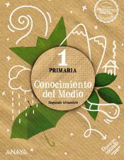 Portada de Conocimiento del Medio 1. Cuadrícula