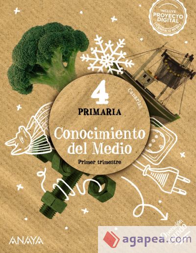 Conocimiento del Medio 4