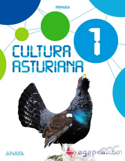 Cultura Asturiana 1