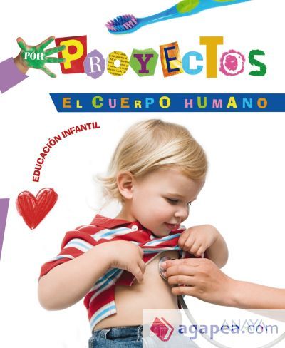 EL CUERPO HUMANO EL CUERPO HUMANO