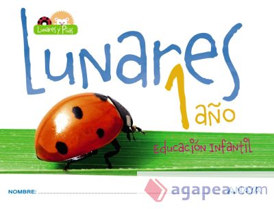 LUNARES 1 año