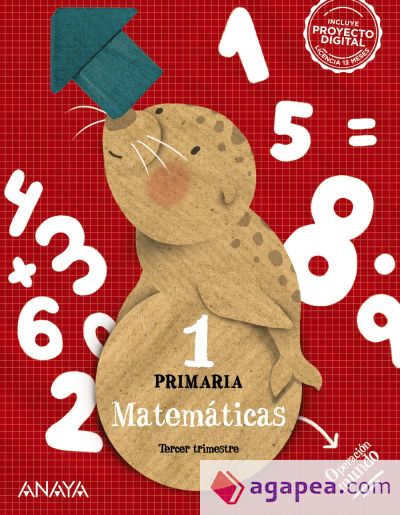 Matemáticas 1. Cuadrícula