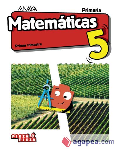 Matemáticas 5. (Taller de resolución de problemas)