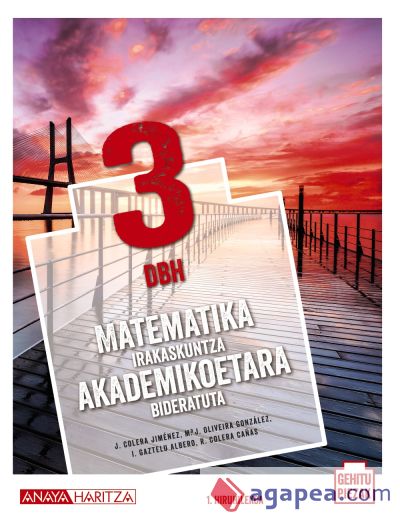 Matematika irakaskuntza akademikoetara bideratuta 3