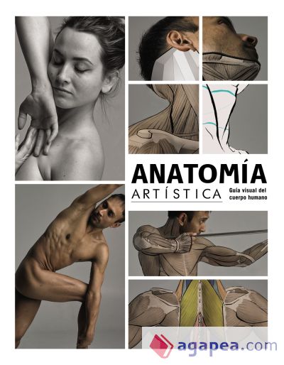 Anatomía artística