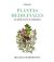 Portada de Plantas medicinales. La salud está en la naturaleza, de Josep Lluís Berdonces