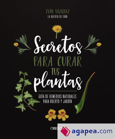 Secretos para curar tus plantas