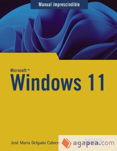 Windows 11