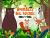 ANIMALES DE BOSQUE - MIRA Y TOCA