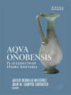 AQVA ONOBENSIS: El acueducto de Onoba Aestvaria