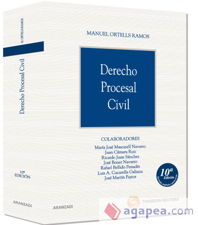 DERECHO PROCESAL CIVIL - 9788499035581