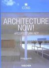 ARQUITECTURE NOW = ARQUITECTURA HOY. ICONS