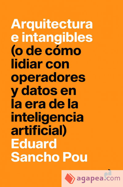 ARQUITECTURA E INTANGIBLES