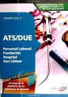 ATS/DUE de Personal Laboral de la Fundación Hospital Son Llàtzer. Vol. II: Temario