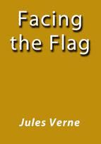 Portada de FACING THE FLAG (Ebook)