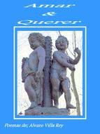 Portada de AMAR Y QUERER (Ebook)