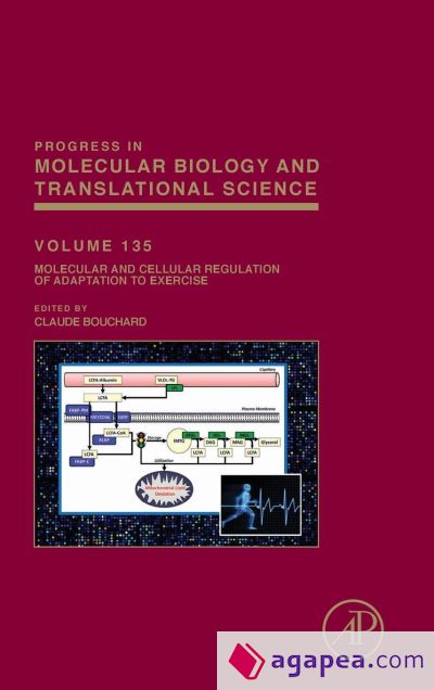 Molecular and Cellular Regulation of Adaptation to Exercise