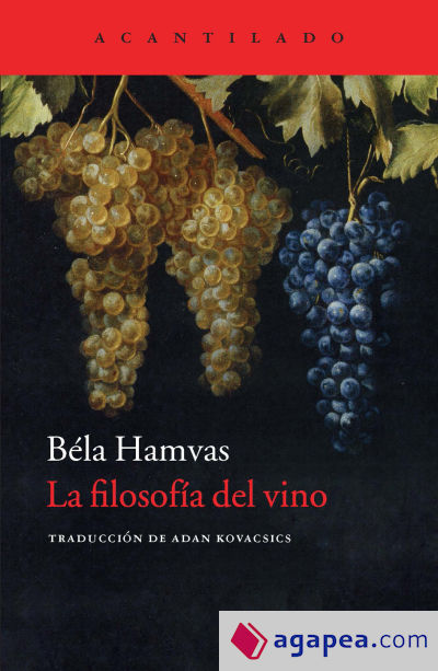 La filosofía del vino