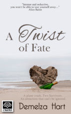 Portada de A Twist of Fate (Ebook)