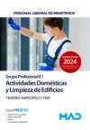 Actividades domésticas y limpieza de edificios (Grupo Profesional E1). Temario específico y test. Ministerios